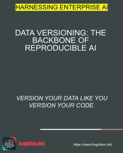 Data Versioning