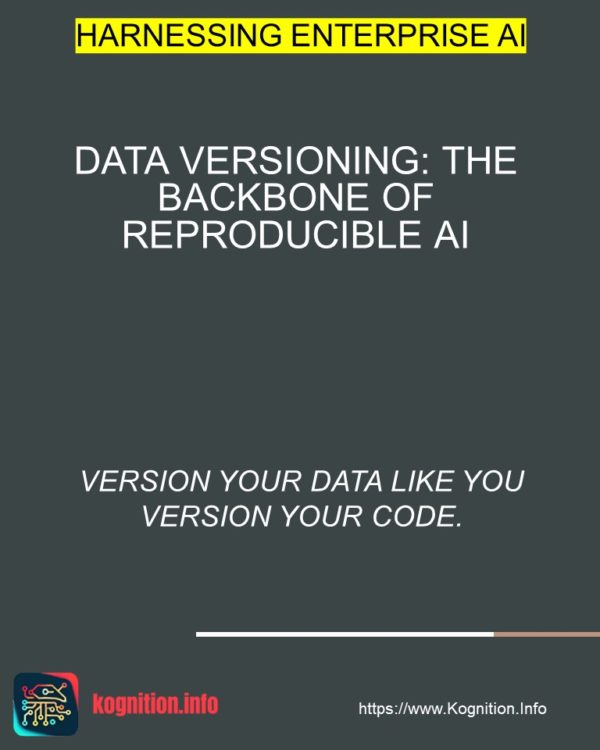 Data Versioning