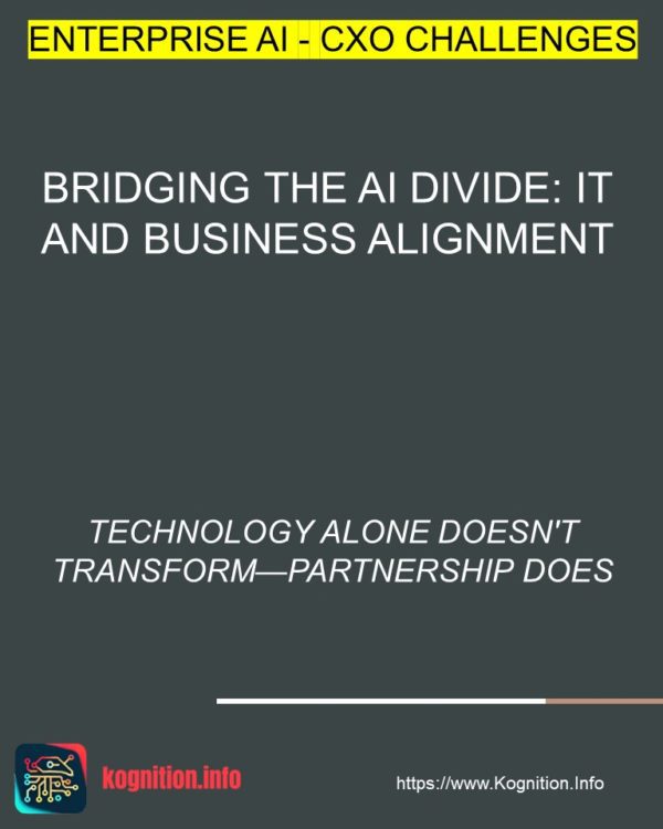 Bridging the AI Divide