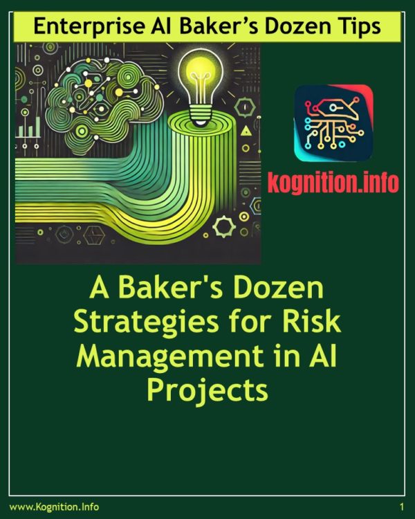 Risk Management in AI Projects