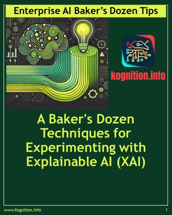 Techniques for Experimenting with Explainable AI